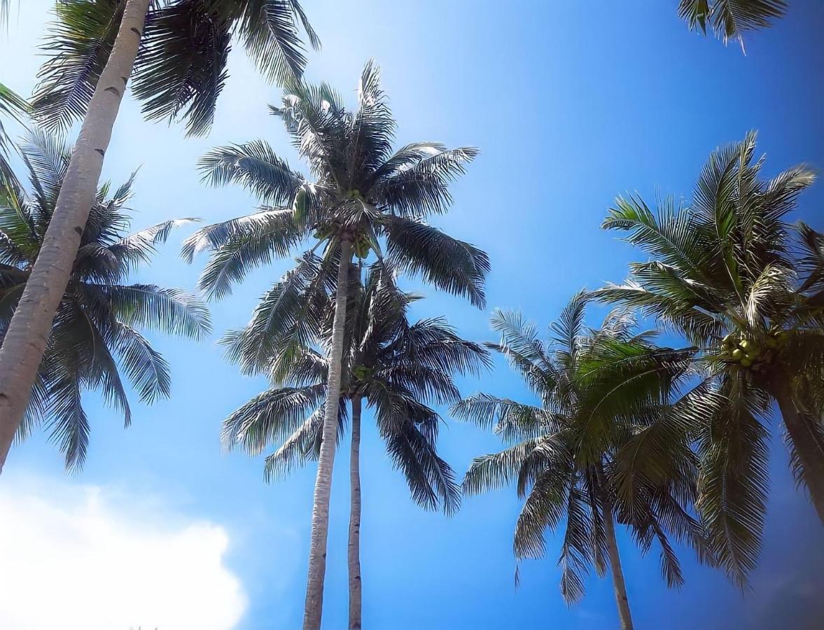 Siargao Sunflower Suites Генерал-Луна Экстерьер фото