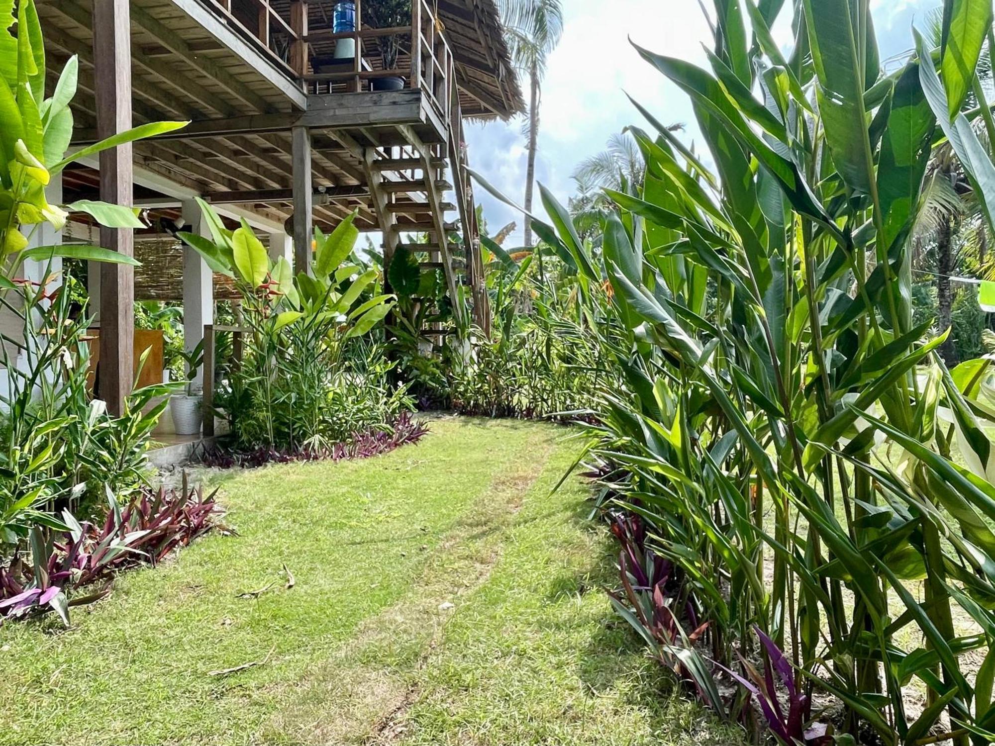 Siargao Sunflower Suites Генерал-Луна Экстерьер фото